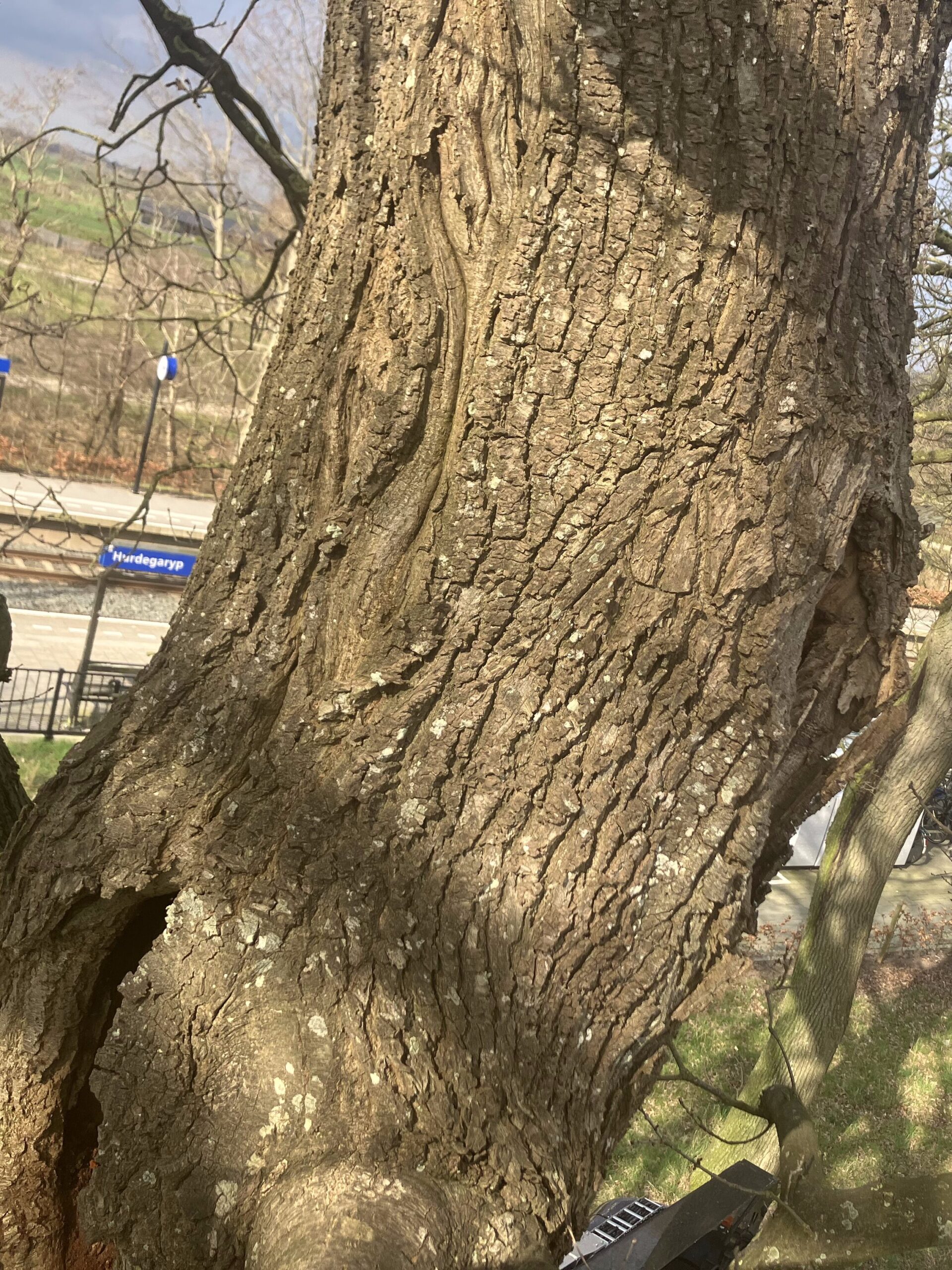 Deze afbeelding heeft een leeg alt-attribuut; de bestandsnaam is IMG_2291-1-edited-1-scaled.jpg